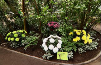 Centra konferencyjne - Palmiarnia Poznańska - obiekt - zdjęcie 1 