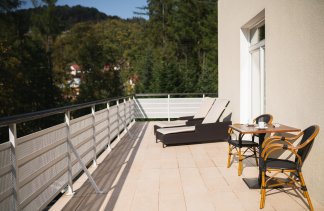 Hotele 5***** - Modrzewie Park Hotel - obiekt - zdjęcie 19 