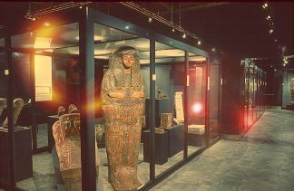 Obiekty kultury - Muzeum Archeologiczne w Poznaniu - obiekt - zdjęcie 9 