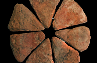 Obiekty kultury - Muzeum Archeologiczne w Poznaniu - obiekt - zdjęcie 12 