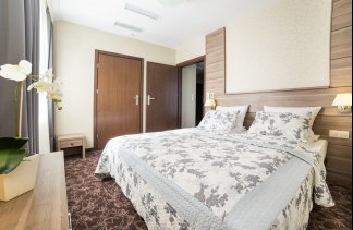 Hotele 3*** - Korona Hotel *** - obiekt - zdjęcie 30 