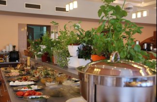 Obiekty konferencyjne - SeaPark Wellness & Spa - obiekt - zdjęcie 9 