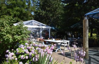 Obiekty konferencyjne - SeaPark Wellness & Spa - obiekt - zdjęcie 12 