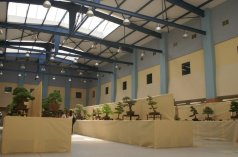 Centra targowe - Centrum Badawczo-Rozwojowe IASE - zdjęcie 3