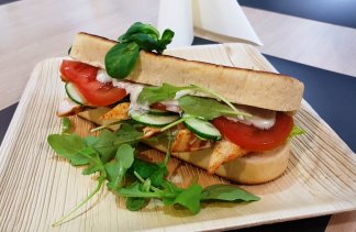 Ośrodki szkoleniowe - Ośrodek Wypoczynkowy BURSZTYN - obiekt - zdjęcie 22 