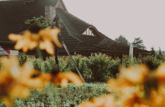 Hotele 3*** - Hotel & Resort Bajka  - restaurant - zdjęcie 20 