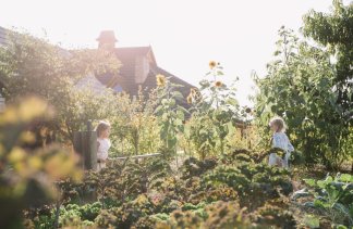 Hotele 3*** - Hotel & Resort Bajka - restaurant - zdjęcie 22 