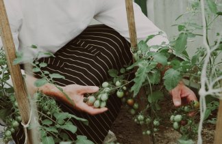 Hotele 3*** - Hotel & Resort Bajka - restaurant - zdjęcie 21 