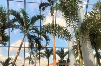 Nowy - Hotel Park of Poland - obiekt - zdjęcie 6 