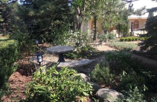 Restauracje - Złote Runo - obiekt - zdjęcie 22 