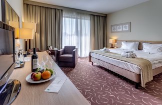 Hotele 4**** - Holiday Inn Warszawa Józefów - obiekt - zdjęcie 4 