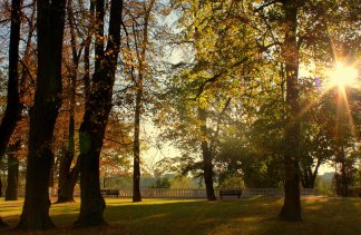 Hotele 4**** - Dwór Sieraków - obiekt - zdjęcie 6 