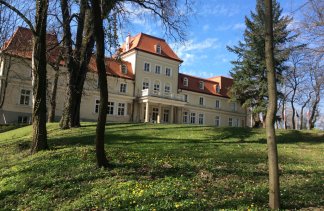 Hotele 4**** - Dwór Sieraków - obiekt - zdjęcie 4 