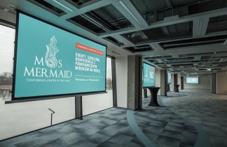 Obiekty konferencyjne - MsMermaid - Cenference Center at The Tides - obiekt - zdjęcie 4 
