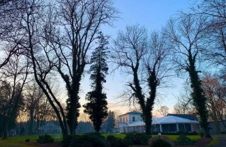 Pałace - Pałac Rozalin - obiekt - zdjęcie 8 