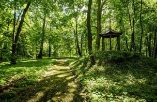 Pałace - Pałac Rozalin - obiekt - zdjęcie 12 