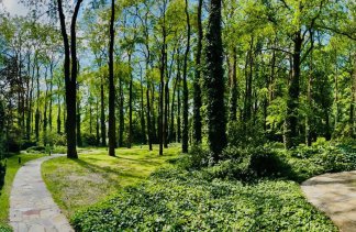 Hotele 3*** - Farmona Hotel Business & Spa - restaurant - zdjęcie 5 