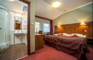 Hotele 3*** - Farmona Hotel Business & Spa - Pokoje - zdjęcie 1 