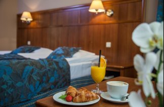 Hotele 3*** - Farmona Hotel Business & Spa - Pokoje - zdjęcie 2 