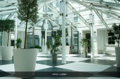 Hotele 5***** - Hotel H15 Boutique - zdjęcie 3