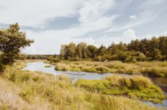Centrum Konferencyjno-Wypoczynkowe - ARCHE Pałac i Folwark Łochów - zdjęcie 4