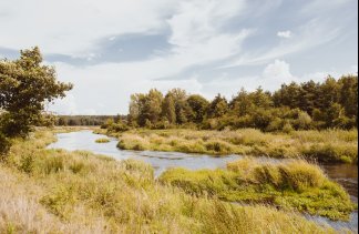 Centrum Konferencyjno-Wypoczynkowe - ARCHE Pałac i Folwark Łochów - Pokoje - zdjęcie 4 