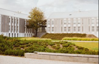 Centrum Konferencyjno-Wypoczynkowe - ARCHE Pałac i Folwark Łochów - Pokoje - zdjęcie 2 