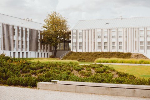 Centrum Konferencyjno-Wypoczynkowe - ARCHE Pałac i Folwark Łochów - zdjęcie 2