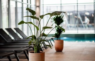 Centrum Konferencyjno-Wypoczynkowe - ARCHE Pałac i Folwark Łochów - service - zdjęcie 1 