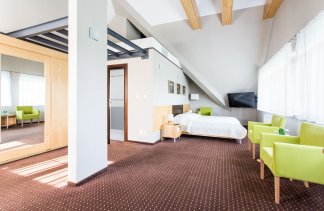 Hotele 4**** - Kozi Gród Hotel & Restaurant - obiekt - zdjęcie 14 