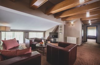 Hotele 4**** - Kozi Gród Hotel & Restaurant - obiekt - zdjęcie 16 