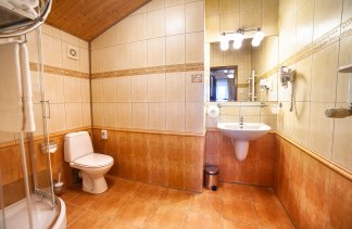 Dworki - Hotel*** Dworek Wapionka - Pokoje - zdjęcie 19 