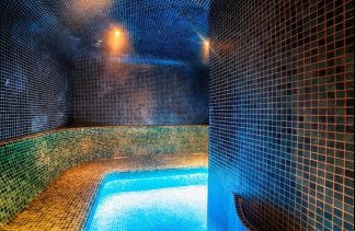 Dworki - Hotel*** Dworek Wapionka - service - zdjęcie 1 