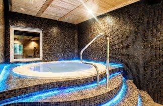 Dworki - Hotel*** Dworek Wapionka - service - zdjęcie 6 