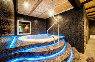 Dworki - Hotel*** Dworek Wapionka - service - zdjęcie 2 