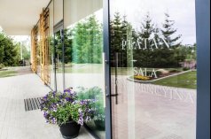 Hotele 3*** - Hotel Platan *** - zdjęcie 2