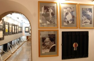 Obiekty kultury - Muzeum Karykatury - obiekt - zdjęcie 7 