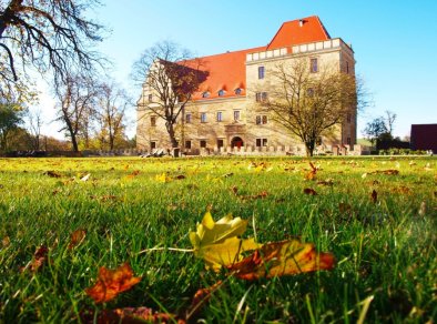 Uroczysko Siedmiu Stawów - sale konferencyjne Niemcza