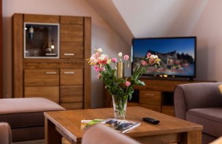 Hotele 3*** - Hotel Beskidzki Raj*** Medical SPA - Pokoje - zdjęcie 14 