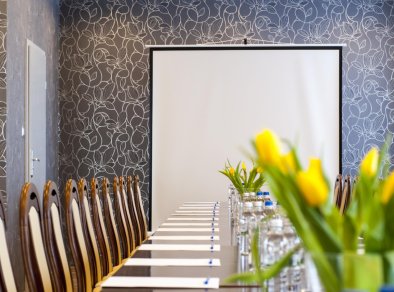 Hotel Eden *** - sale konferencyjne Rzgów