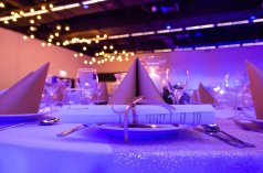 Sale konferencyjne - Sala Aplauz  - zdjęcie 4