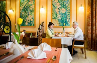 Hotele SPA - Hotel Termy Pałacowe w Nałęczowie - restaurant - zdjęcie 3 