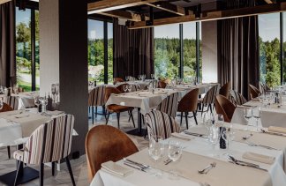 Hotele 5***** - Elements Hotel & Spa Świeradów-Zdrój - restaurant - zdjęcie 3 