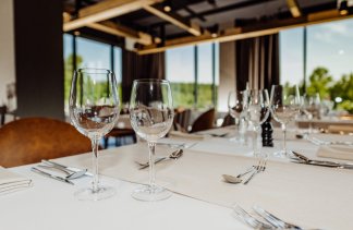 Hotele 5***** - Elements Hotel & Spa Świeradów-Zdrój - restaurant - zdjęcie 4 