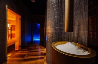 Hotele 5***** - Elements Hotel & Spa Świeradów-Zdrój - service - zdjęcie 11 