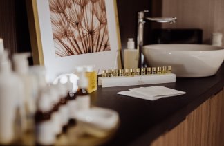 Hotele 5***** - Elements Hotel & Spa Świeradów-Zdrój - service - zdjęcie 6 