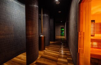 Hotele 5***** - Elements Hotel & Spa Świeradów-Zdrój - service - zdjęcie 14 