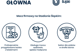 Hale widowiskowo - sportowe - Stadion Śląski - service - zdjęcie 5 