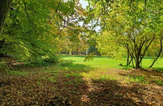 Pałace - Pałac Zaborówek - obiekt - zdjęcie 3 