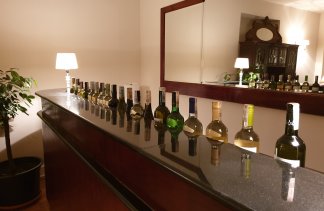 Pałace - Pałac Zaborówek - service - zdjęcie 4 